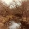 Maple River S of Embden