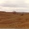 Prairie Valley