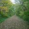 MoPac East Trail Near Wabash, NE