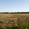 Pg 19 riverbottom road south
