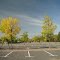Parque de los niños - Estacionamiento - Jóvenes árboles en pleno crecimiemto - ecm -
