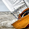 ADRENALINA  (Y el amado Rìo de La Plata)