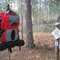 Ocala National Forest Trail