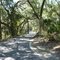 FOOT TRAILS