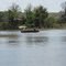 Gone fishin'