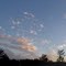 the sky at sunset in the forest (11-27-2010)