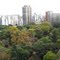 abigador panoramio - Argentina 阿根廷 Buenos Aires 2011-300.jpg Building Argentine Palermo Botanical Garden Jardin Botanico