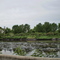 La costa del arroyo Santo Domingo, terrenos del CEAMSE parquizados, Avellaneda, Buenos Aires