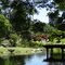 Jardin Japones - Buenos Aires