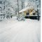 Winter remodel