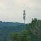 Cell Tower looks like a Tree