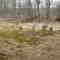 Wurtsboro Airport - Cemetery