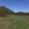Food Plot