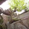 Ice Caves/Minnewaska State Park