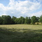 Hay's down