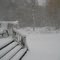 October Snow! 10/29/11
