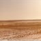 City on the Great Plains