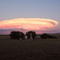 Thunderhead south of Camp Crook, SD