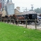 Amish buggies @ Flea market in Kidron, Ohio