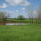 Spring on the Prarie