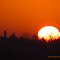 Magnificent Sunrise