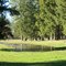 green pond
