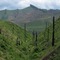 Lavadoure Creek Valley