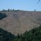 private clearcut in the headwaters of Saint John Creek