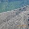 Beals Creek clearcut