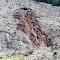 Seneca Lumber Company clearcut has an in-unit landslide into the tributary to Woods Creek, near Days Creek Oregon. The person is standing over 50 feet in front of the landslide, and the landslide itself is several hundred feet long. This  in early April just before