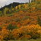 Fall in Grants Pass Oregon