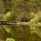 Pond next to Aspen Hall, Bend, OR