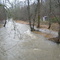 Milton Creek during flood 01/07/09