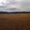 Mountain Medow