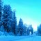 Homeword bound, Lake of the Woods Hwy, Oregon