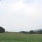 Farmland