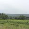 Farmland
