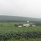 Farm