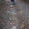 Sand Mountain Driveable Trail