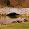 Falling Springs Bridge