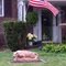 Louise Ave Nittany Lion