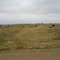 Pg 20 D road north