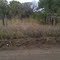 Pg 21 east gate 3