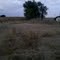 Pg 17 gate at end of drive