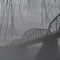 Cold_Winters_Morning_9954