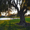 Park at Civic Center Drive