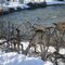 Winter river rafting...BURRRRRRRRRR!