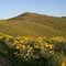 Hill Walking Above Monitor, WA