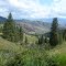 Cascade Mountains East Side, Upper Nahahum Canyon