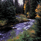 The Mckenzie River In Fall Colors near Clear Lake Oregon